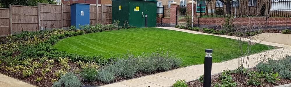 tree services Cambridgeshire